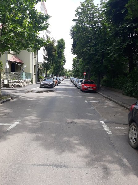 Tineretului, str. Viorele, proprietar